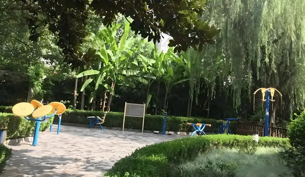 神能